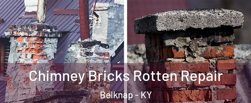Chimney Bricks Rotten Repair Belknap - KY