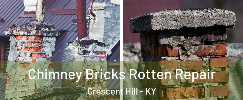 Chimney Bricks Rotten Repair Crescent Hill - KY