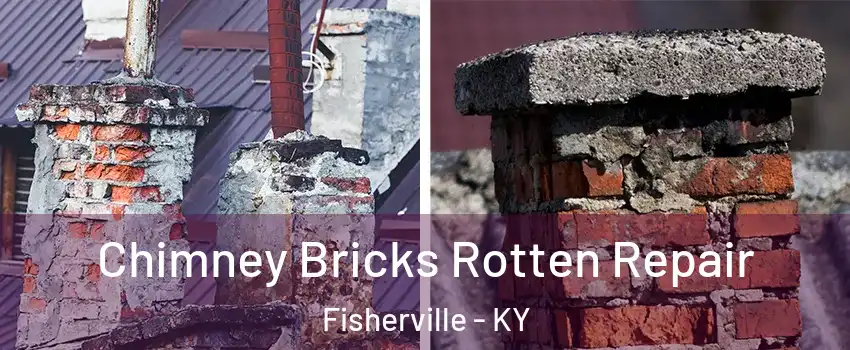 Chimney Bricks Rotten Repair Fisherville - KY