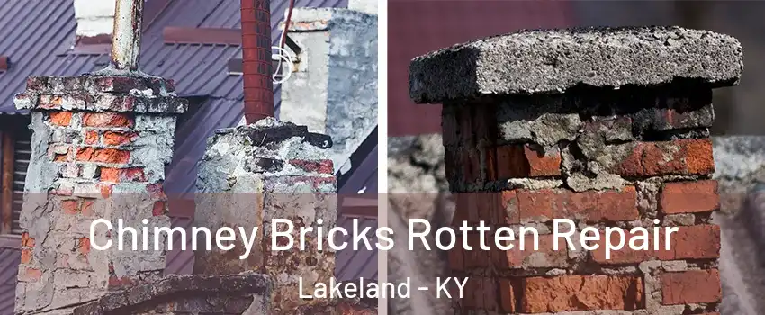Chimney Bricks Rotten Repair Lakeland - KY