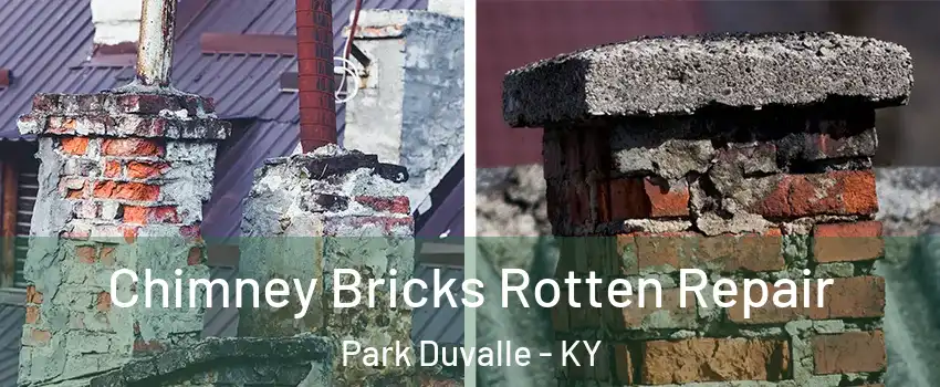 Chimney Bricks Rotten Repair Park Duvalle - KY