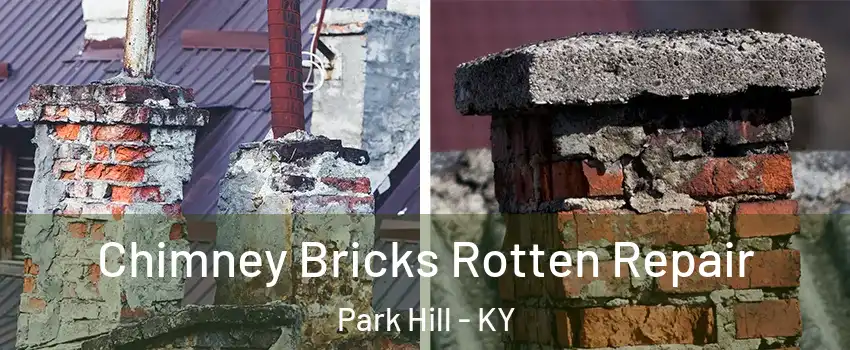 Chimney Bricks Rotten Repair Park Hill - KY