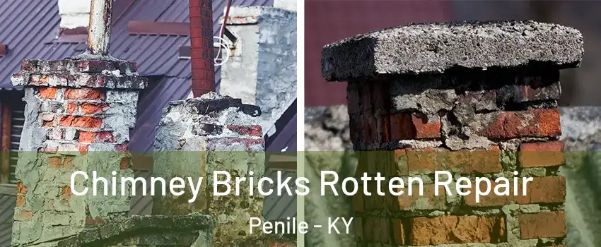 Chimney Bricks Rotten Repair Penile - KY