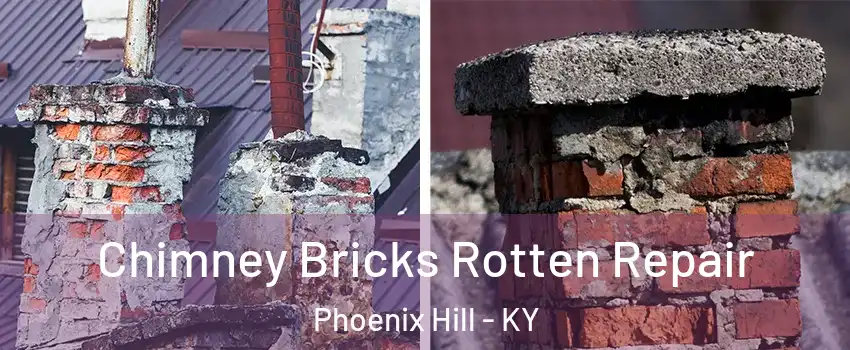 Chimney Bricks Rotten Repair Phoenix Hill - KY