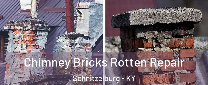 Chimney Bricks Rotten Repair Schnitzelburg - KY
