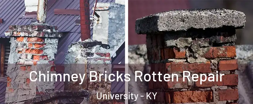Chimney Bricks Rotten Repair University - KY