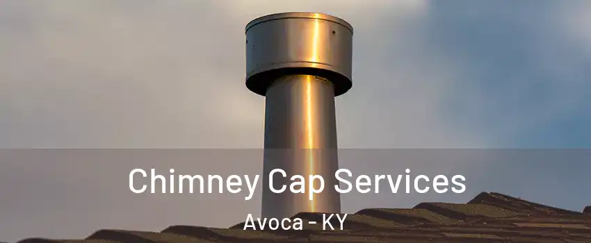 Chimney Cap Services Avoca - KY