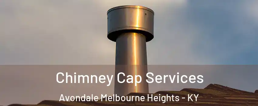 Chimney Cap Services Avondale Melbourne Heights - KY