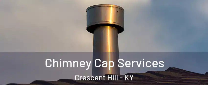 Chimney Cap Services Crescent Hill - KY