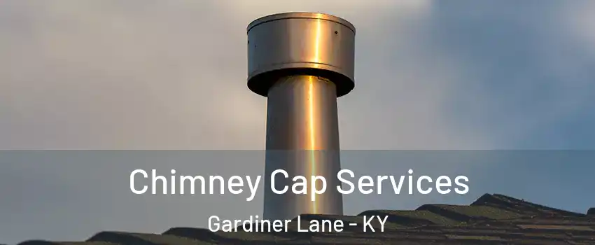 Chimney Cap Services Gardiner Lane - KY