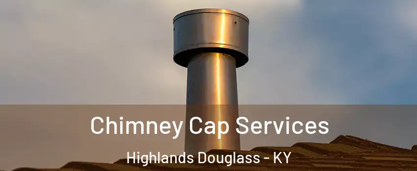 Chimney Cap Services Highlands Douglass - KY
