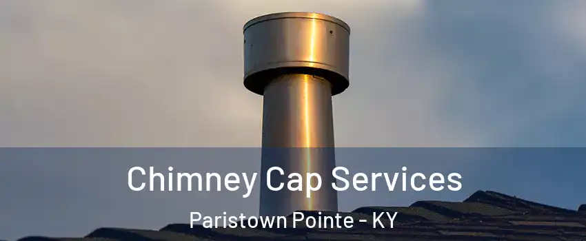 Chimney Cap Services Paristown Pointe - KY