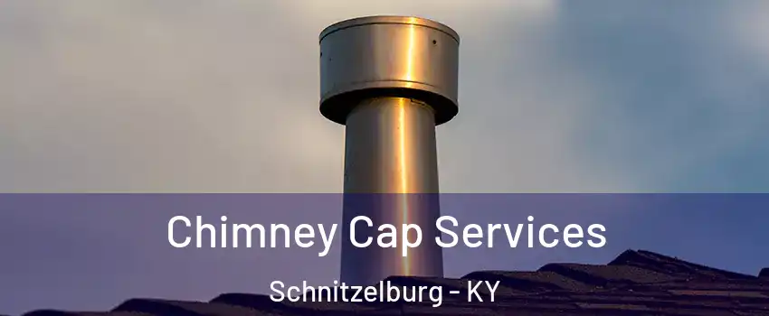 Chimney Cap Services Schnitzelburg - KY