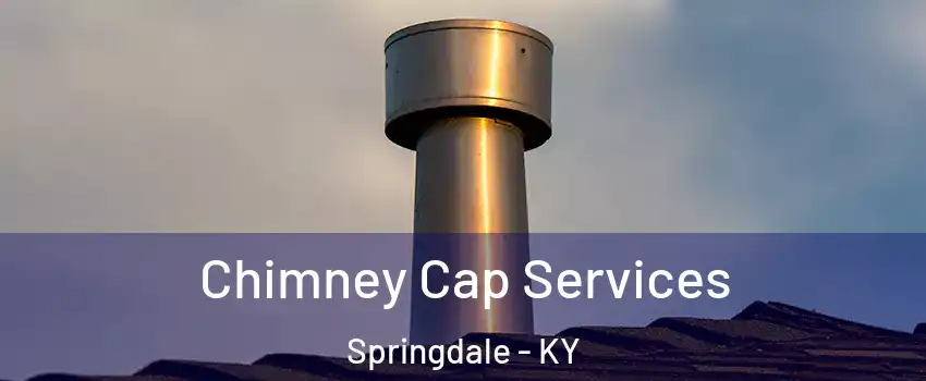 Chimney Cap Services Springdale - KY