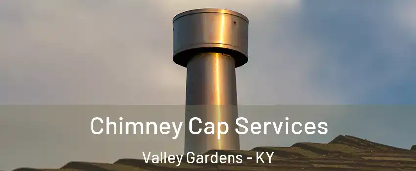 Chimney Cap Services Valley Gardens - KY