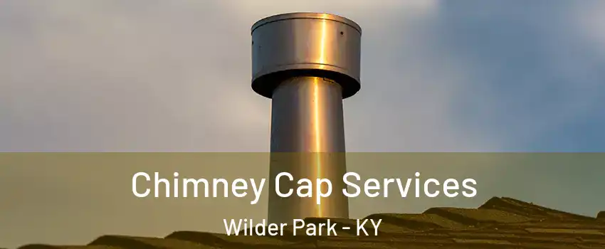 Chimney Cap Services Wilder Park - KY