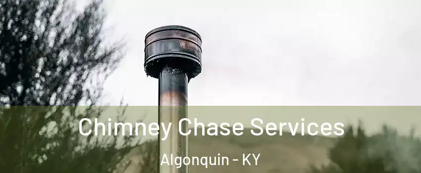 Chimney Chase Services Algonquin - KY