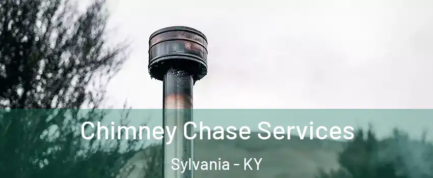 Chimney Chase Services Sylvania - KY