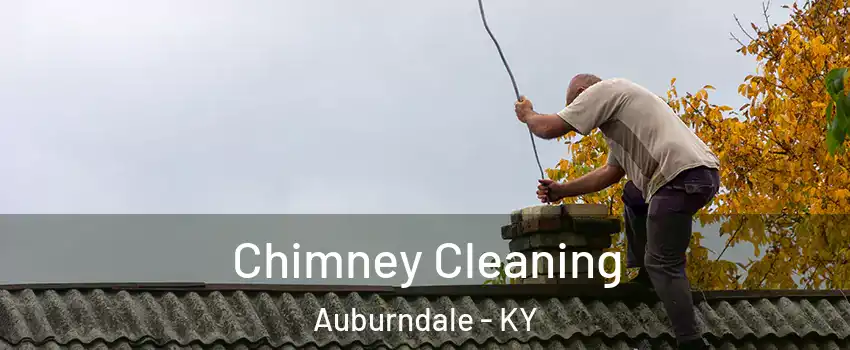 Chimney Cleaning Auburndale - KY