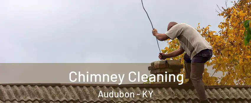 Chimney Cleaning Audubon - KY