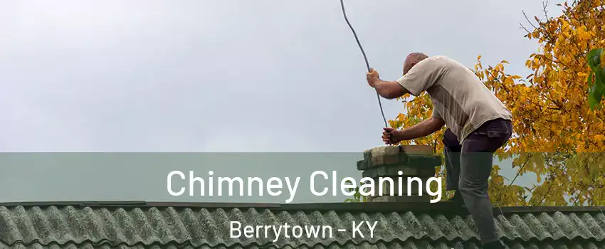 Chimney Cleaning Berrytown - KY