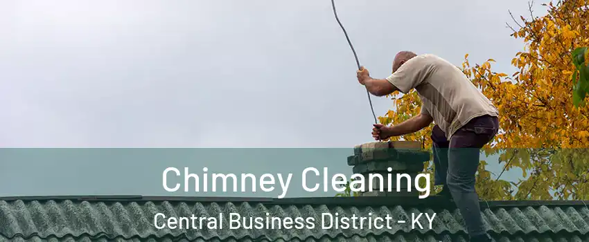 Chimney Cleaning Central Business District - KY