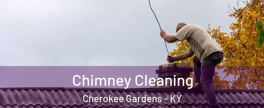 Chimney Cleaning Cherokee Gardens - KY