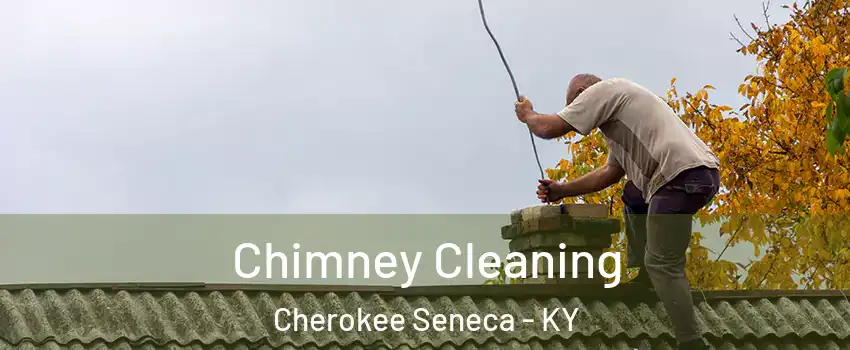 Chimney Cleaning Cherokee Seneca - KY