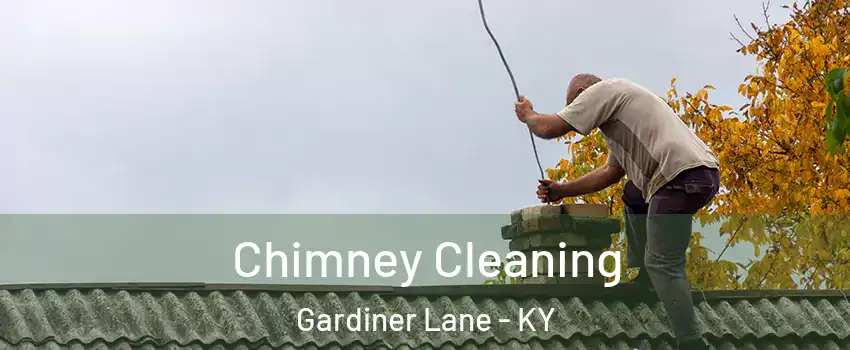 Chimney Cleaning Gardiner Lane - KY