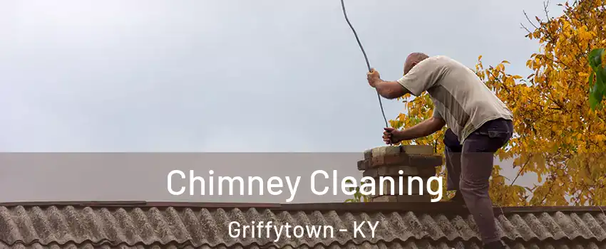 Chimney Cleaning Griffytown - KY