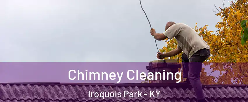 Chimney Cleaning Iroquois Park - KY