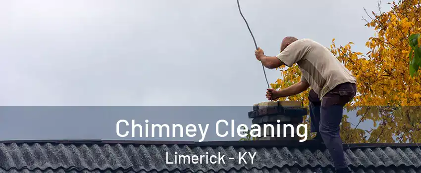 Chimney Cleaning Limerick - KY