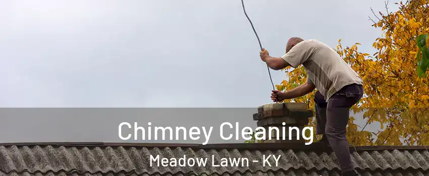 Chimney Cleaning Meadow Lawn - KY