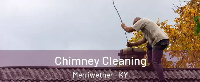 Chimney Cleaning Merriwether - KY