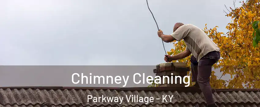 Chimney Cleaning Parkway Village - KY
