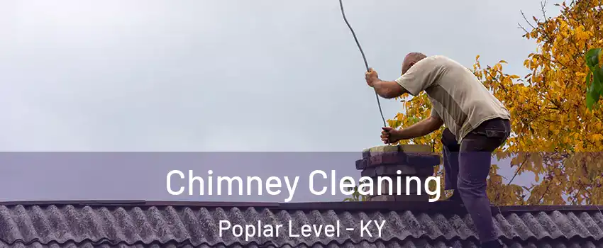 Chimney Cleaning Poplar Level - KY
