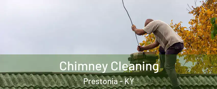 Chimney Cleaning Prestonia - KY