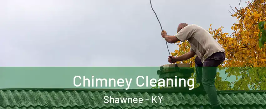 Chimney Cleaning Shawnee - KY