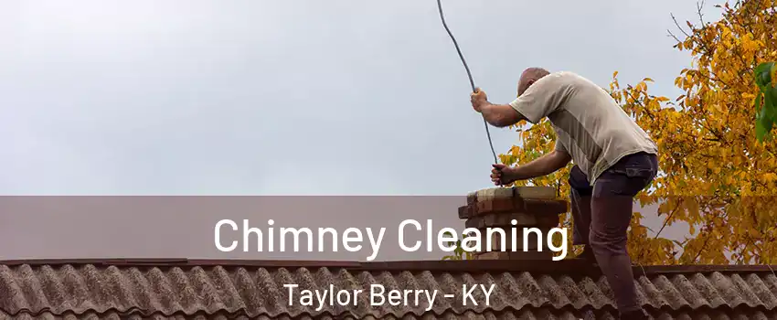 Chimney Cleaning Taylor Berry - KY