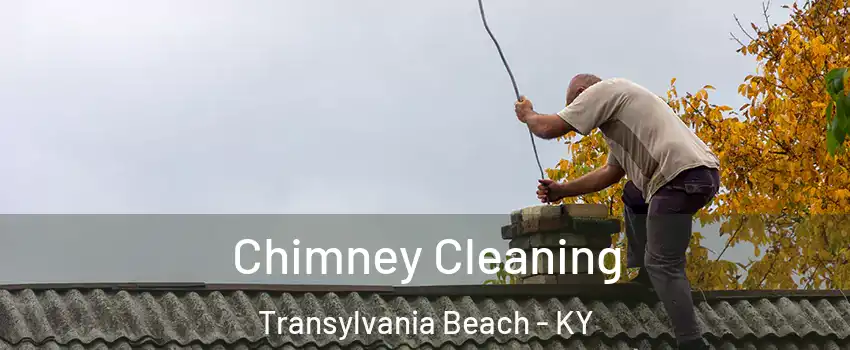 Chimney Cleaning Transylvania Beach - KY