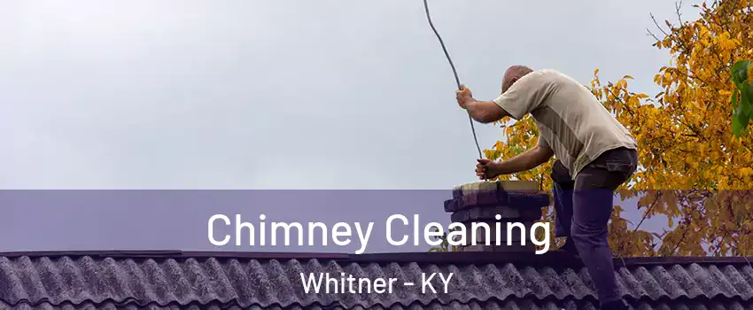 Chimney Cleaning Whitner - KY