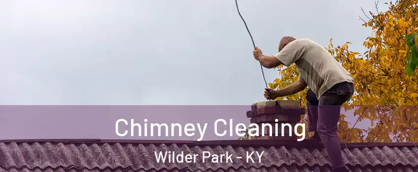 Chimney Cleaning Wilder Park - KY