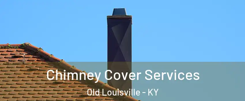Chimney Cover Services Old Louisville - KY