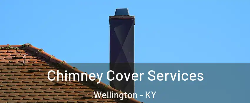 Chimney Cover Services Wellington - KY