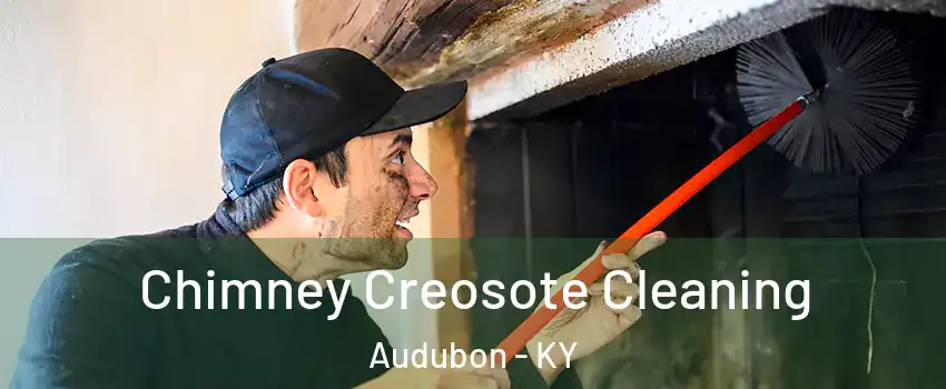 Chimney Creosote Cleaning Audubon - KY