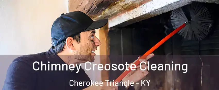 Chimney Creosote Cleaning Cherokee Triangle - KY