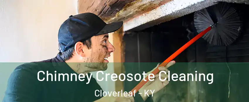 Chimney Creosote Cleaning Cloverleaf - KY