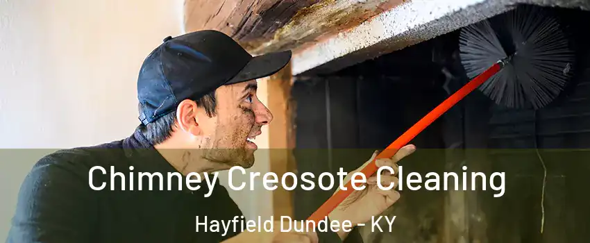 Chimney Creosote Cleaning Hayfield Dundee - KY