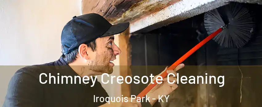 Chimney Creosote Cleaning Iroquois Park - KY