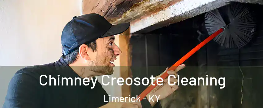 Chimney Creosote Cleaning Limerick - KY